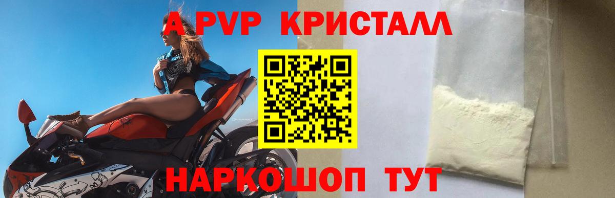 A PVP СК КРИС Белгород