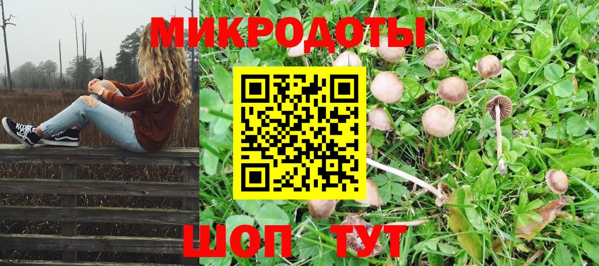Белгород  Псилоцибиновые грибы Psilocybine cubensis  Вход с VPN  Галлюциногенные грибы Cubensis 